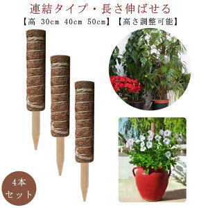 ϗtA 30cm 40cm Ԃ x |x 50cm x VR RRibcx Xex \ A\ K[fjOp  |xp[c AT|[g 鐫A g}g |gX