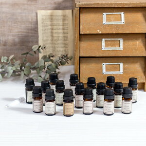 yzA}es[ 1 莎Ώې17Zbgi10ml x 17{)g邽Ղ10mlrIGbg17t Lapature F v[g ̓