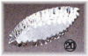  NpP 2g peBVG[ {[g^ 20 PP-723 105mm