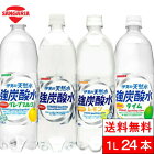 【送料無料】 強炭酸 伊賀の天然水 強炭酸水 選べる強炭酸水 1000ml 12本 2箱（計24本）サンガリア