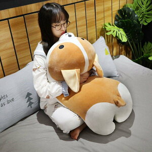 ʂ   R[M[ 킢  ObY ӂӂ  ܂ Aj} NbV a 蕨 v[g Mtg 60cm
