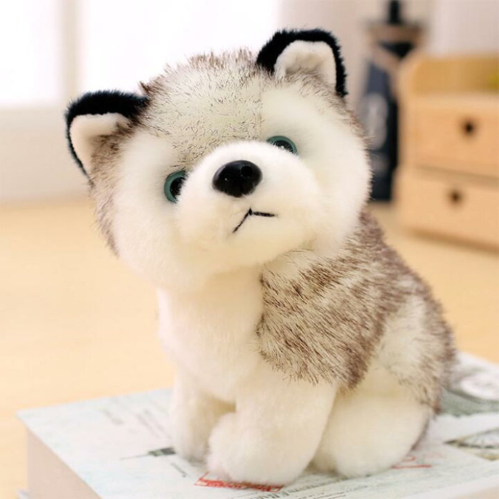 楽天市場 リアル 犬 ぬいぐるみ リアルなハスキー かわいい 動物 子供のおもちゃ 犬ぬいぐるみ 人形 子供 男の子 おもちゃ ギフト 装飾工芸品 イヌ おもちゃ 抱き枕 クリスマス お誕生日 記念日 プレゼント 28cm Keiwa