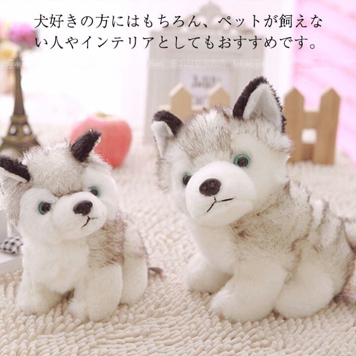 楽天市場 リアル 犬 ぬいぐるみ リアルなハスキー かわいい 動物 子供のおもちゃ 犬ぬいぐるみ 人形 子供 男の子 おもちゃ ギフト 装飾工芸品 イヌ おもちゃ 抱き枕 クリスマス お誕生日 記念日 プレゼント 28cm Keiwa