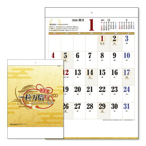 Ǌ|J_[ B3 ꗱ{ 2026N (1) J^  ƒ rWlX ItBX XPW[