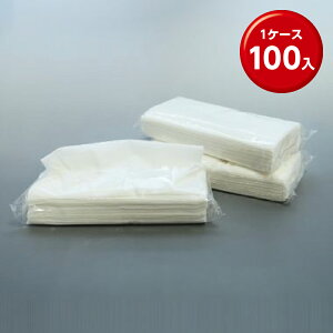 (100��×100��) �|���� �e�B�b�V���y�[�p�[ �l��M100W