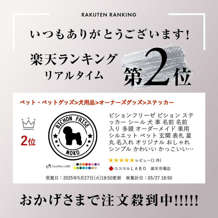 楽天市場】【5日限定P5倍+300円OFFクーポン】 ビションフリーゼ