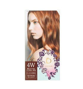 @xltB[N@wAJ[ N[^Cv 4W