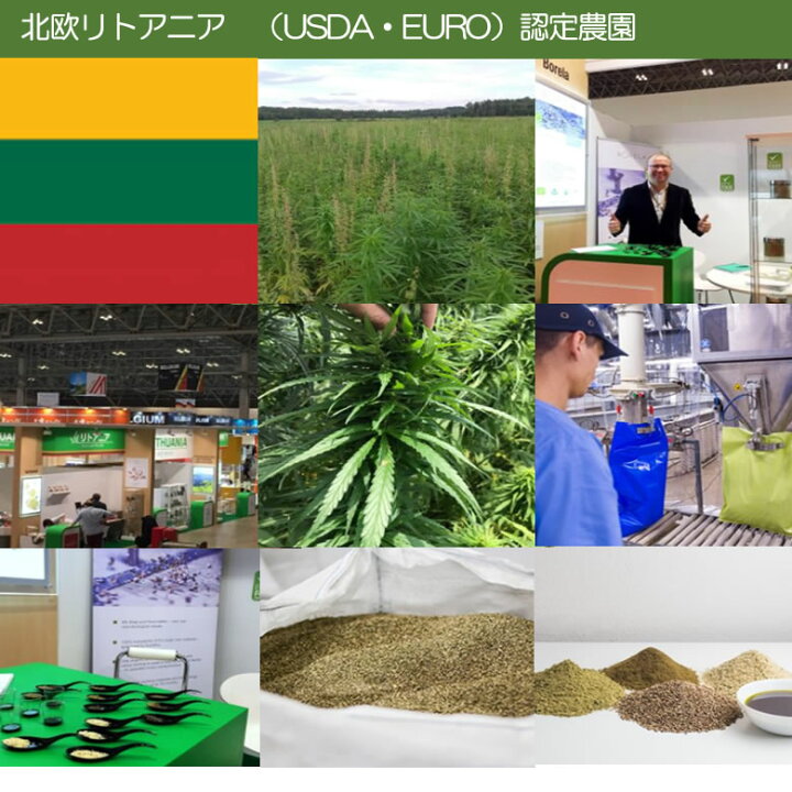 楽天市場】ヘンプパウダー 500g 1袋 リトアニア産 麻の実パウダー ヘンププロテイン 植物性プロテインパウダー Hemp Protein Powder : ココナッツオイル屋 楽天市場店 楽天市場】ヘンプパウダー 500g 1袋 リトアニア産 麻の実パウダー ヘンププロテイン 植物性プロテインパウダー Hemp Protein Powder : ココナッツオイル屋 楽天市場店