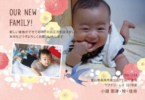 年賀状 写真 入れ 生活雑貨の人気商品 通販 価格比較 価格 Com