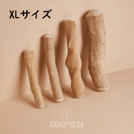【CANOPHERA】キャノフィラ　デンタルチュースティック XLサイズ（犬用）