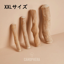 【CANOPHERA】キャノフィラ　デンタルチュースティック XXLサイズ（犬用）
