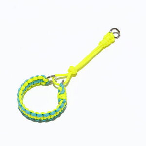 yGoldenmamazS[f}}@pR[hփVO҂݁@n[t`[N^Cv@3TCY