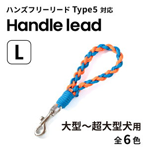 y}sEׂ܂Ŗ2TԁzyGoldenmamazS[f}} pR[hnh[hLi^`^pjType5ΉiS6Fj