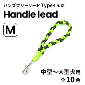 y}sEׂ܂Ŗ2TԁzyGoldenmamazS[f}} nh[hpR[hMi^`^pjType4ΉiS10Fj