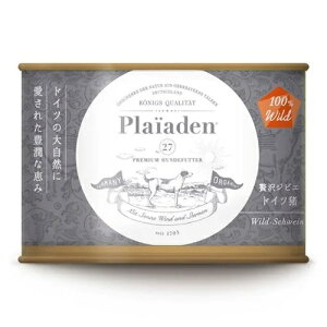 yvCA[fz100Wild@ґWrG@hCc y200gz (ʋl)