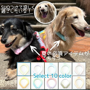 【SUO】2023 アイスクールリング ボタンなし(XS・SSサイズ)犬 熱中症予防 涼感 保冷 暑さ対策 冷却 クールダウン おしゃれ かわいい スオ suo