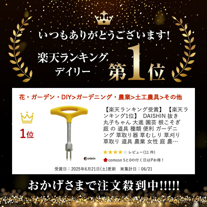 楽天市場】【楽天ランキング受賞】 【楽天ランキング1位】 DAISHIN