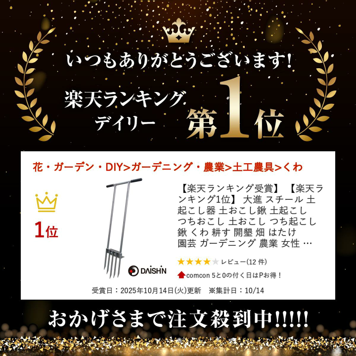 楽天市場】【楽天ランキング受賞】 【楽天ランキング1位】 大進