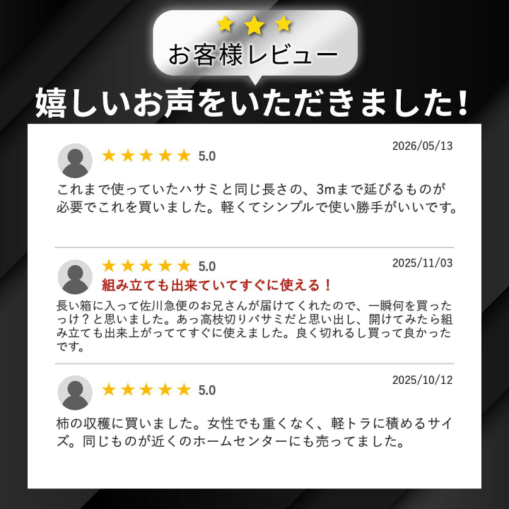 楽天市場】【楽天ランキング1位】 超軽量 最長 3mで840g 女性にも 大進