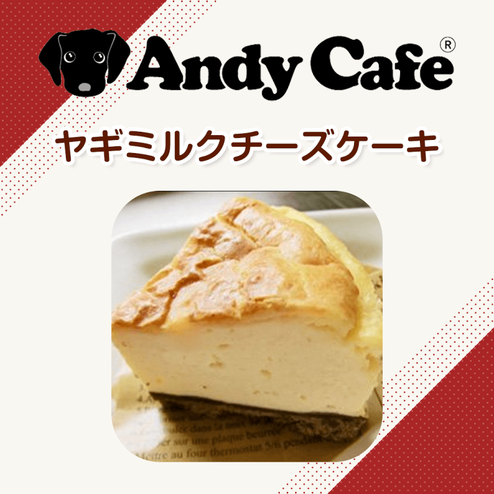 楽天市場 犬 おやつ 手作り アンディカフェ ヤギミルクのチーズケーキ 犬用 こだわり お菓子 犬用 フード ペット おやつ お菓子 おかし 犬用 犬 ケーキ 手作り ぷちぎふと工房 コンサルジュ