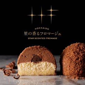 冷凍で贈れる美味しいスイーツ。星の香るフロマージュ クーベルチョコレート1個 チーズケーキ ギフト 贈り物 プレゼント 御歳暮 御中元 お歳暮 お中元 スイーツ ケーキ パーティー SWEETS お取り寄せ 取り寄せ