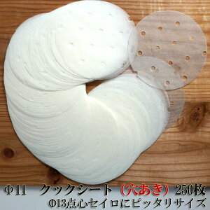 pNbNV[gyLzy11z250y13_SZCɃsb^TCYz  ی^  U  | NbLOV[gyEh^z