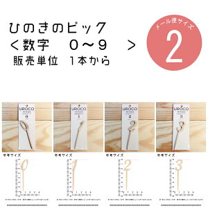 yЂ̂̃sbNz[0]`[9] 1{P DIY p wqmL@Yyzy[ցzϗtApsbN@O@O؁@w؁@t[AWg P[Lgbp[@EFfB