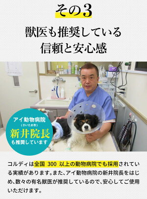 楽天市場 犬 サプリ 犬用サプリメント お試し用 免疫力 免疫 を守る 健康 維持 健康食品 元気度 高める 気力 アップ 冬虫夏草 老犬 カプセル ペット用サプリ ペット用サプリメント コルディカプセル 人とペットのサプリ専門店モノリス