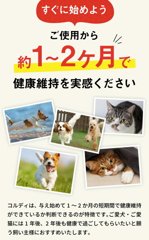 楽天市場 犬 サプリ 犬用サプリメント お試し用 免疫力 免疫 を守る 健康 維持 健康食品 元気度 高める 気力 アップ 冬虫夏草 老犬 カプセル ペット用サプリ ペット用サプリメント コルディカプセル 人とペットのサプリ専門店モノリス