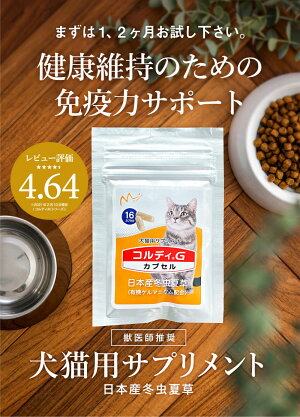 楽天市場 超目玉 10 4 00 10 11 01 59 限定100個 0円off 猫 サプリ 猫用サプリメント お試し用 免疫力 免疫 を守る 健康 維持 健康食品 元気度 高める 気力 アップ 冬虫夏草 老猫 カプセル ペット用サプリ ペット用サプリメント コルディカプセル 人と
