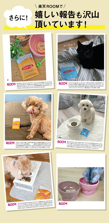 楽天市場】犬 猫 サプリ 犬用 猫用 サプリメント 免疫力 免疫 の健康を 