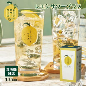 T[OX 435ml ڈT[OX mX؃KXi00535-J424j`[nC ^u[ Ē