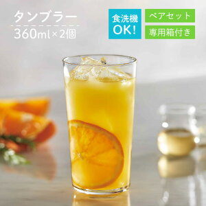 ^u[Zbg 360ml 2 Â^u[Zbg pt mX؃KXiG101-T292j̓ ^u[ Zbg yA OX Rbv  H Mtg v[g ƈ ig