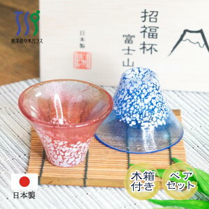 yȃN[|zzIzxmROX t E ؔ mX؃KXiG635-T72j Zbg OX  u t  킢 N { nhCh 蕨 Mt