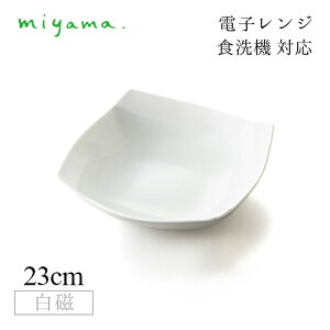{E 23cm 2Zbg Ir Obi  [R miyamai03-035-101j Z H dqW H@