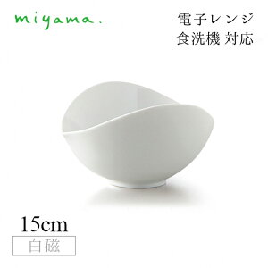 Ќ{[ 15cm 4Zbg  sai  [R miyamai06-041-101j Z H dqW H@