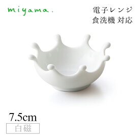 食器皿 drops 10枚セット アミューズ Amuse 白磁 深山陶器 miyama（33-024-101）おしゃれ 美濃焼 白い食器 電子レンジ可 食洗機可