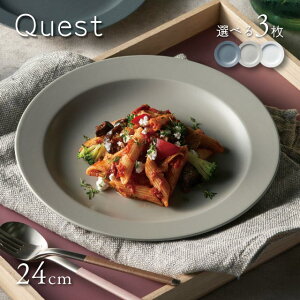 24cm�v���[�g �I�ׂ�3�� Quest �ۓ� STUDIO 010�iQT-001�EQT-002�EQT-003�j���M �V���v�� �������J�t�F �������