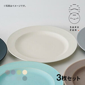 SAKUZAN Rq v[g 10" 3Zbg 26cm Sara DAYSi19603jHM IׂJ[ {