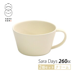 yȃN[|zzIzSAKUZAN Rq X[vJbv 2Zbg 260cc Sara DAYS Z IׂJ[ { X[v}O }OJbv Jt 킢  mH Vv V Jt