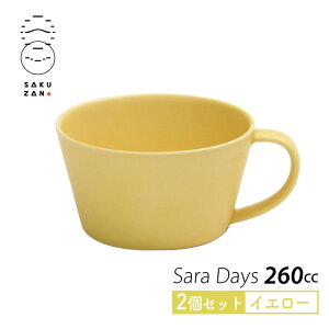 yȃN[|zzIzSAKUZAN Rq X[vJbv 2Zbg 260cc Sara DAYS Z IׂJ[ { X[v}O }OJbv Jt 킢  mH Vv V Jt