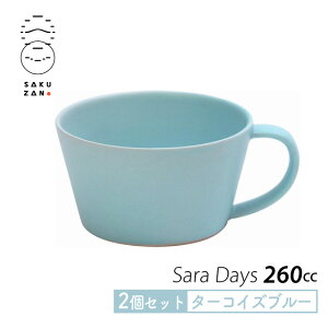 yX[p[SALE10%OFFzyȃN[|zzIzSAKUZAN Rq X[vJbv 2Zbg 260cc Sara DAYS Z IׂJ[ { X[v}O }OJbv Jt 킢  mH 