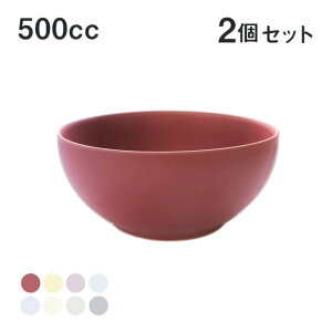 SAKUZAN 作山窯 サラダボウル 2個セット 500cc Sara DAYS 美濃焼 選べるカラー 日本製