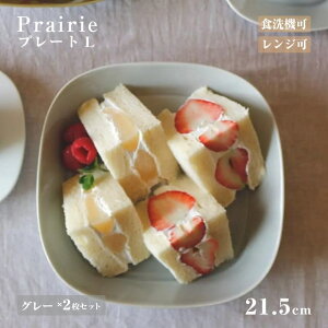 �v���[�gL 21.5cm 2���Z�b�g Prairie �v���[���[ �I�ׂ�4�J���[ ���c����iP40701�EP40702�EP40703�EP40704�j���� �V���v�� ���[�j���O�v���[�g