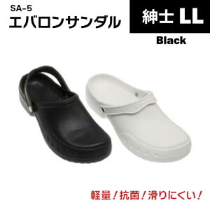 SA5 GoT_  amp M~LLiSA-5-1pc-vajƖp C~[V[Y yʍRۖhL