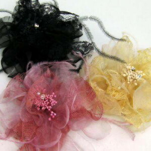 RT[WytFU[I[KW[RT[WzfB[X@u[`@Nbv@wAANZT[@@AC{[@sN@l@@i@@؂₩@@w