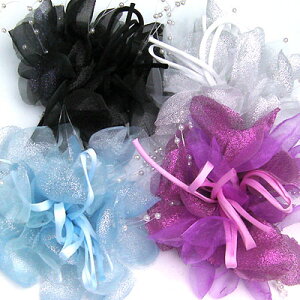 RT[Wyp[ƃI[KW[̃{[RT[WzfB[X@v?`@wANbv@wAANZT[@@@@p[v@F@i@؂₩@l@l