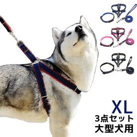 楽天市場 犬 首輪 リード セット 大型犬の通販