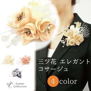 y30%OFFN[|zzubNtCf[SALEz1ʎ܁ Oԃ[Y RT[W u[` s Nbv 2WAY tH[}  Zj[ Cxg w Ǝ r[v