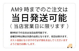 楽天市場 送料無料 お名前フロッキー くつのしっぽ 2点セットお名前シール おなまえシール うわぐつ 上靴 アクセサリー 飾り 上履き うわばき 上 ばき 目印 くつ 幼稚園 保育園 入園グッズ 入園準備 入学準備 女の子 男の子 新生活 アイロンスタンプの